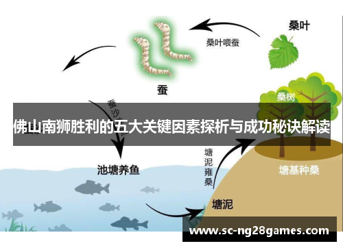 佛山南狮胜利的五大关键因素探析与成功秘诀解读 佛山南狮胜利的五大关键因素探析与成功秘诀解读