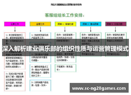 深入解析建业俱乐部的组织性质与运营管理模式