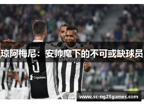 琼阿梅尼:安帅麾下的不可或缺球员 琼阿梅尼:安帅麾下的不可或缺球员